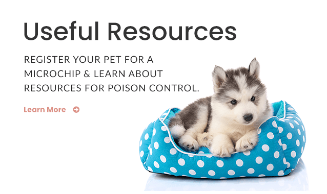 Useful Resources Promo